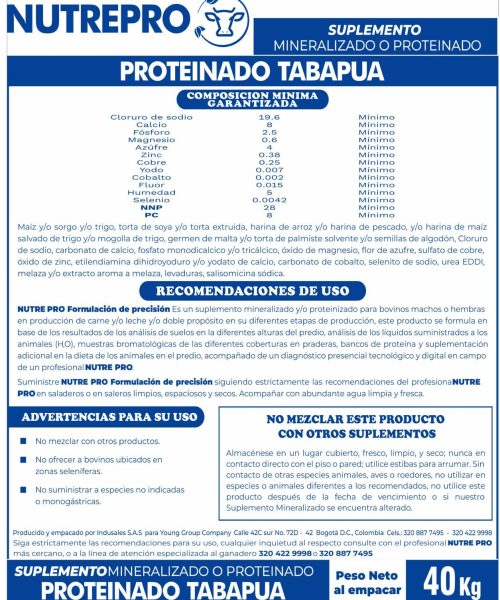 tabapua40kV8 DORSO